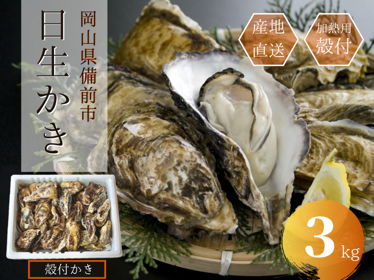 殻付きかき(加熱用)、3キロ【軍手、ナイフ付】 | ひなせお取り寄せ市場